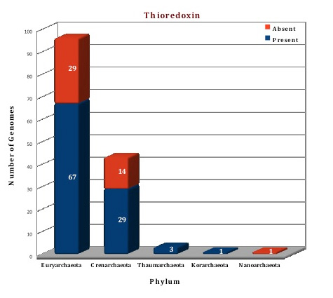 thioredoxin