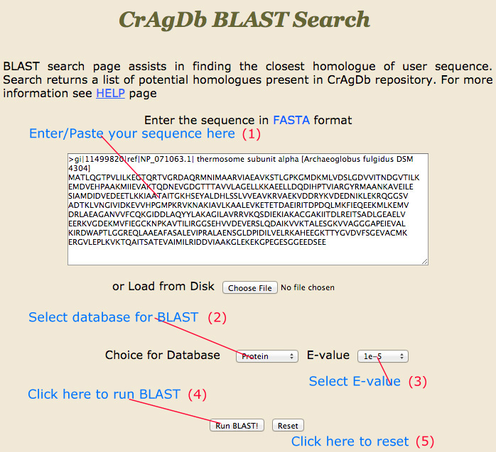 cragdb_blast